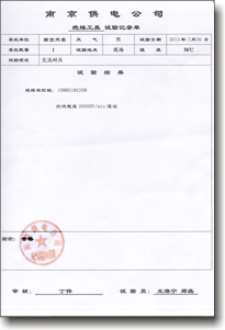 Insulation Test Report(Chinese)